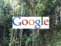 Photovine: rumors su un nuovo servizio di photosharing di Google?