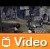 Video: Assassin's Creed