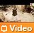 Video: Xbox 360
