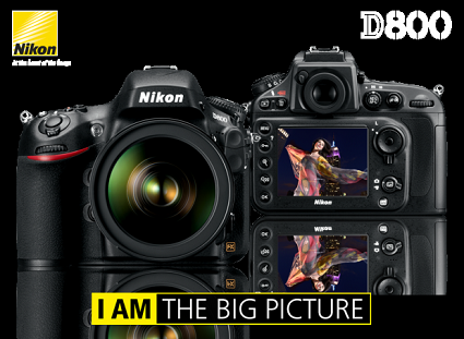 Confronto caratteristiche fotocamere Nikon D800 e Nikon D800E
