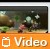 Console Video: Wii Fit