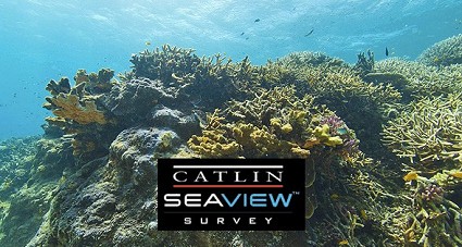 Google ti porta sott'acqua con SeaView all'esplorazione della barriera corallina