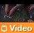 Video: Microsfot Surface