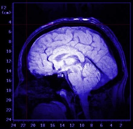 Scanner-computer in grado di individuare cosa sta guardando un individuo nel suo cervello. Vicini alla macchina che legge il pensiero ?