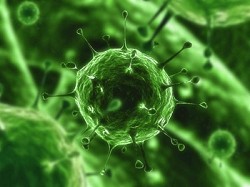 Un virus camuffato da Polizia chiede soldi agli utenti 