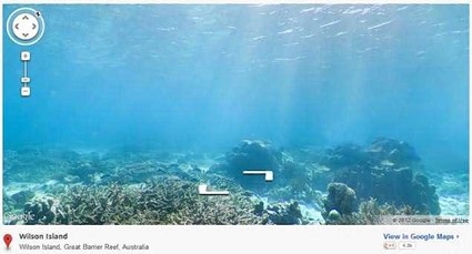 Esplora le profondit? marine con Google Sea View