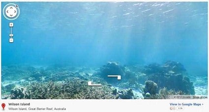 Esplora le profondit?� marine con Google Sea View