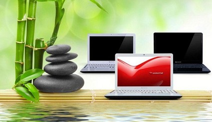 Packard Bell EasyNote V: caratteristiche dei nuovi notebook esotici in bamb?? (parte 2) 