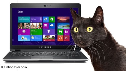 Nuovo laptop Dell 6430u Latitude: il computer che puzza di pip? di gatto!