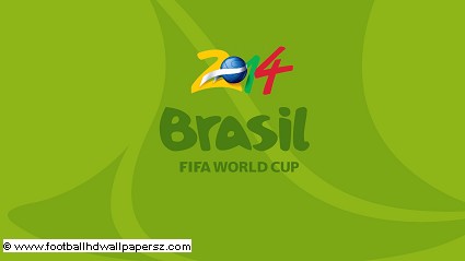 2014 FIFA World Cup Brazil: uscita e novit?
