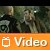 Video: Grand Theft Auto IV Lost and Damned- il trailer 