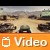 Video: Dirt 2 per XBox 360